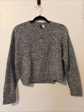 H&M Divided Cropped Sweater